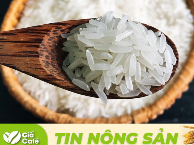 Ở c&aacute;c tỉnh An Giang v&agrave; Đồng Th&aacute;p, lượng gạo mua v&agrave;o c&oacute; xu hướng chậm lại.